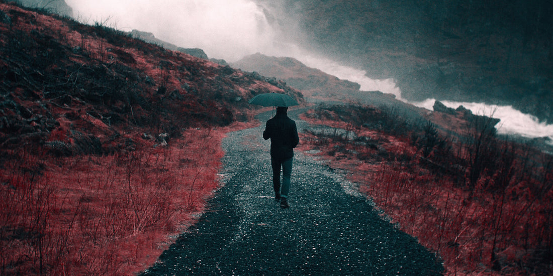 Is Finding Your Purpose A Con?